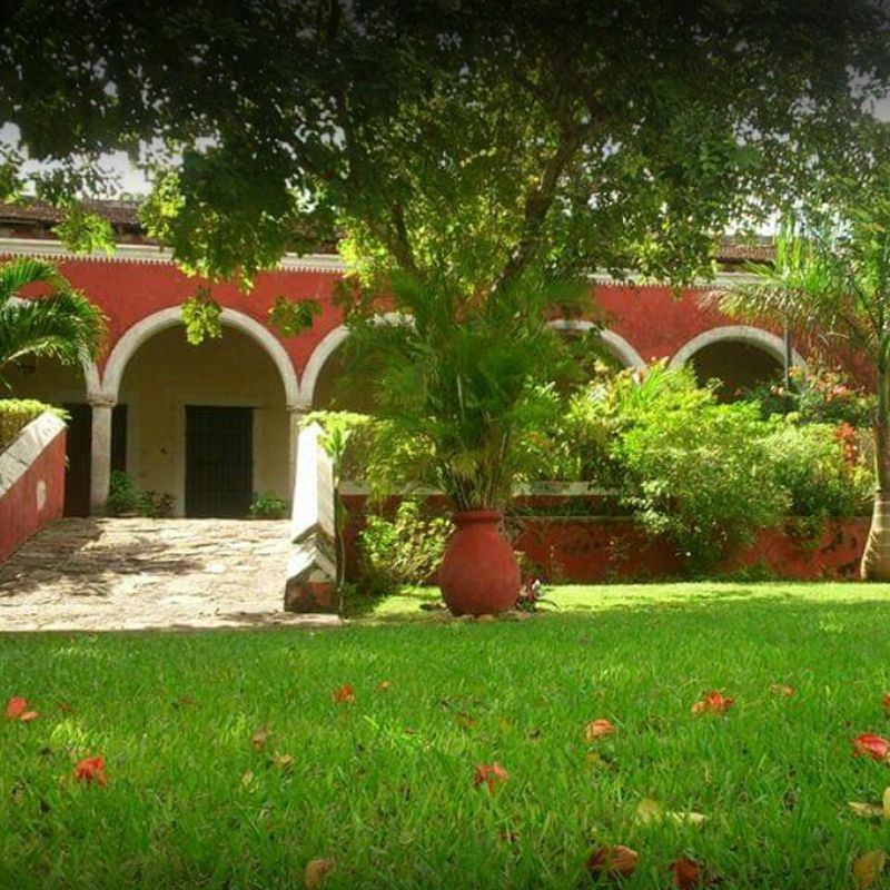 Slide Image
