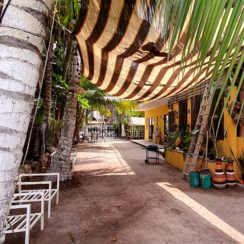 Slide Image